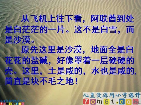 沙漠中的绿洲课件8