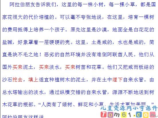 沙漠中的绿洲课件3