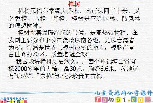 宋庆龄故居的樟树课件1