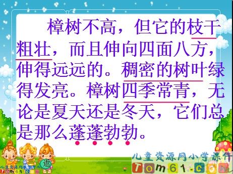 宋庆龄故居的樟树课件7
