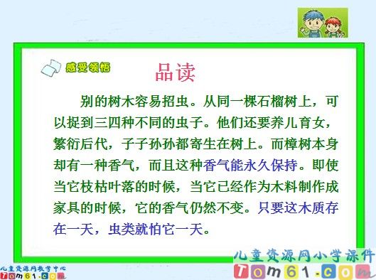 宋庆龄故居的樟树课件2