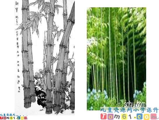 去打开大自然绿色的课本课件3