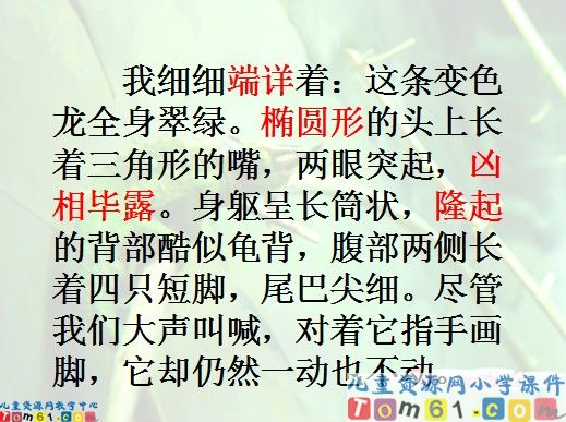 变色龙课件2