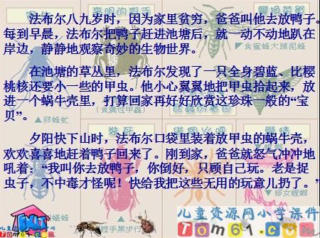 装满昆虫的衣袋课件2