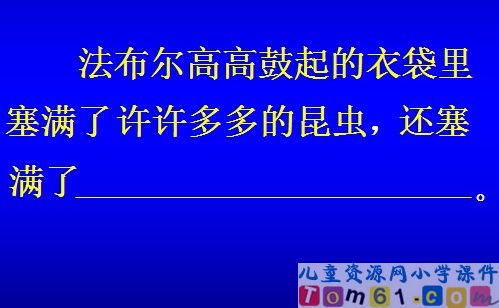 装满昆虫的衣袋课件4