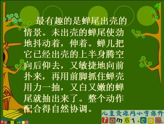金蝉脱壳课件6