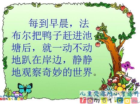 装满昆虫的衣袋课件3