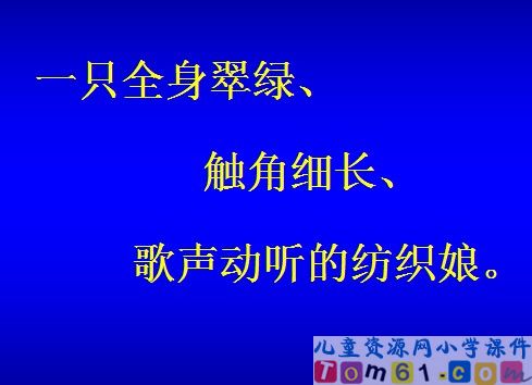 装满昆虫的衣袋课件1