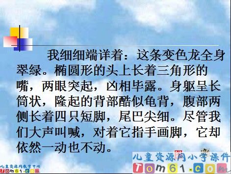 变色龙课件1