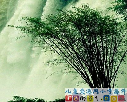 看黄果树瀑布课件13