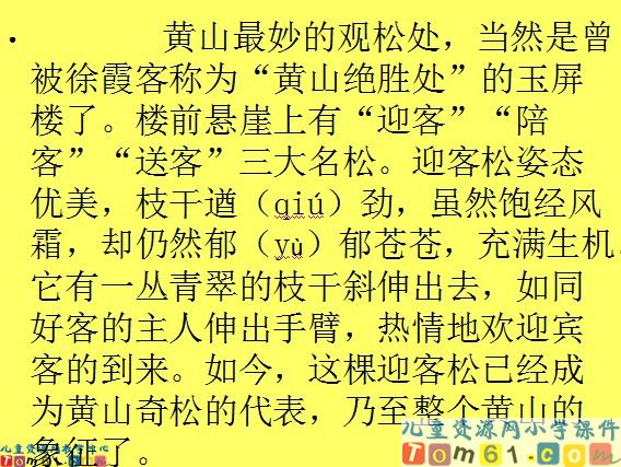 黄山奇松课件2