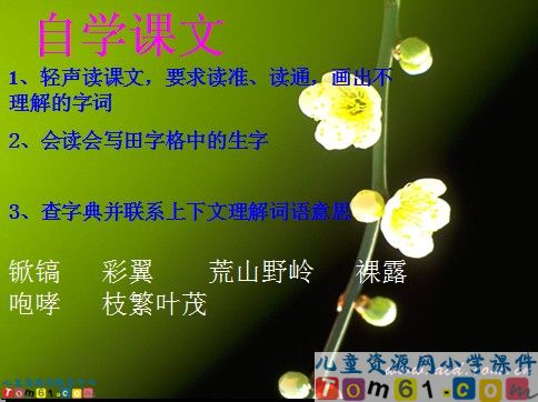 春光染绿我们双脚课件7