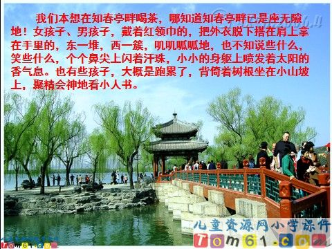 只拣儿童多处行课件15