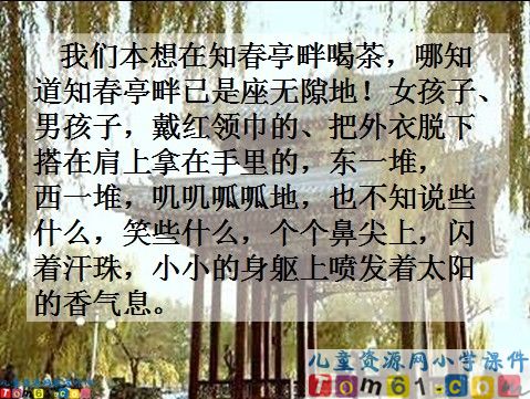 只拣儿童多处行课件8