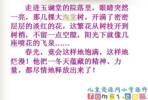 只拣儿童多处行课件9