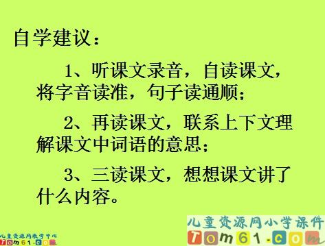 春光染绿我们双脚课件6