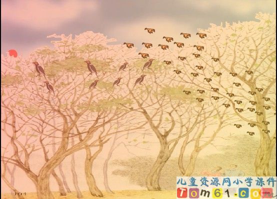灰椋鸟课件12