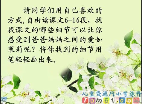 爱如茉莉课件7