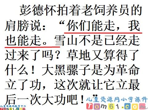 彭德怀和他的大黑骡子课件6