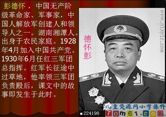 彭德怀和他的大黑骡子课件1