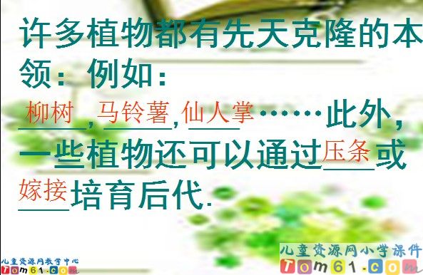 神奇的克隆课件3