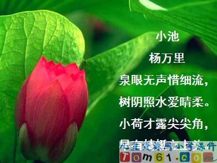 晓出净慈寺送林子方课件1