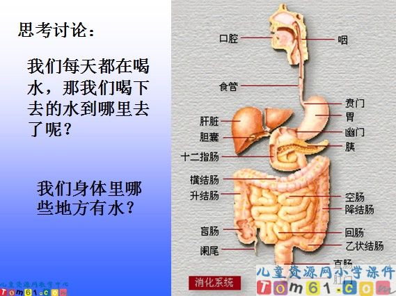 水课件3