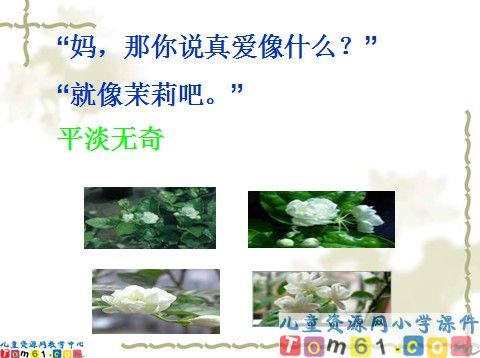 爱如茉莉课件8