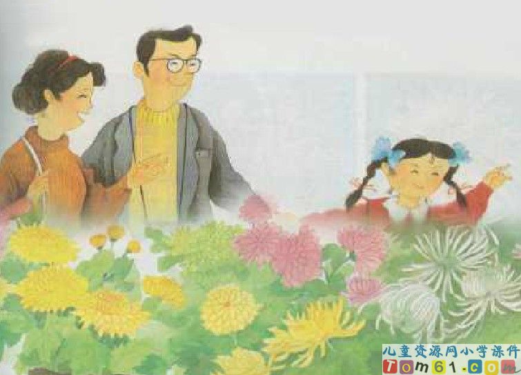 《看菊花》