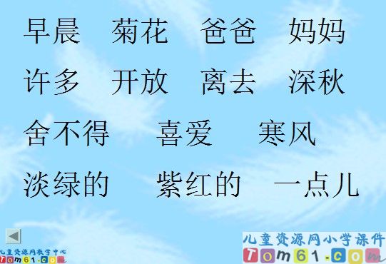 《看菊花》