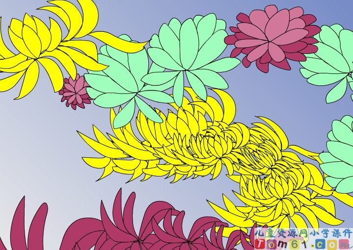 《看菊花》
