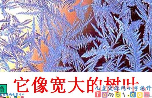 《冰花》
