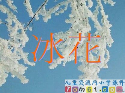 《冰花》