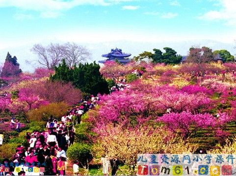 《春到梅花山》