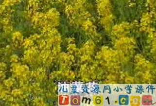 《春到梅花山》