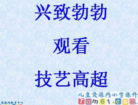 《骑牛比赛》