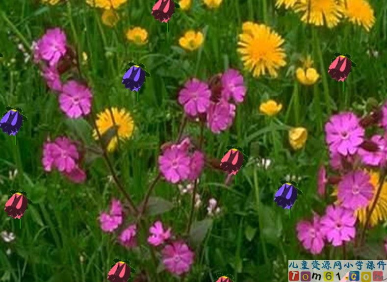 鲜花和星星