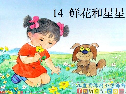 鲜花和星星