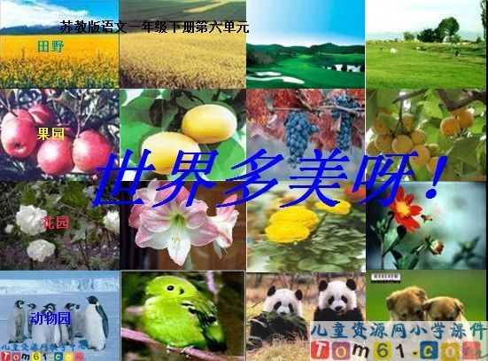 《世界多美呀》