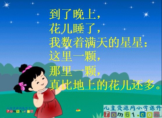 鲜花和星星