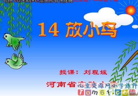 《放小鸟》