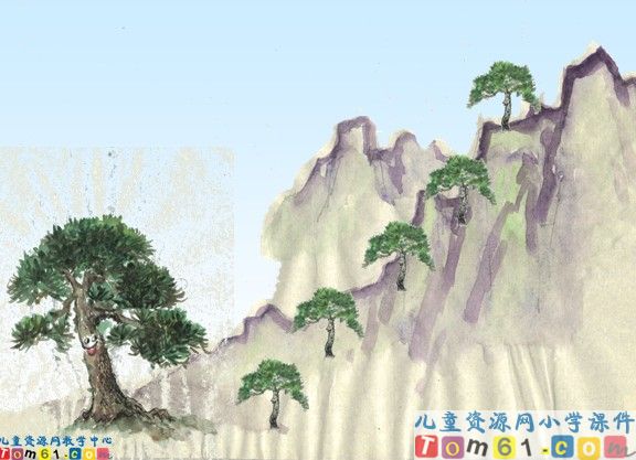 《小松树和大松树》
