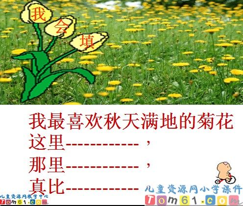 鲜花和星星