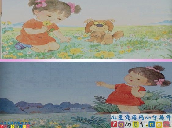 鲜花和星星