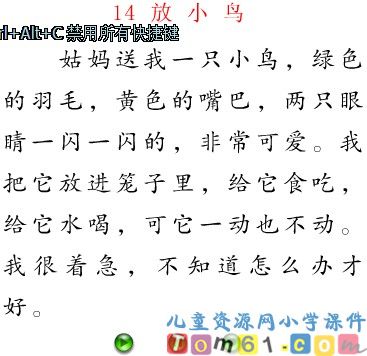 《放小鸟》