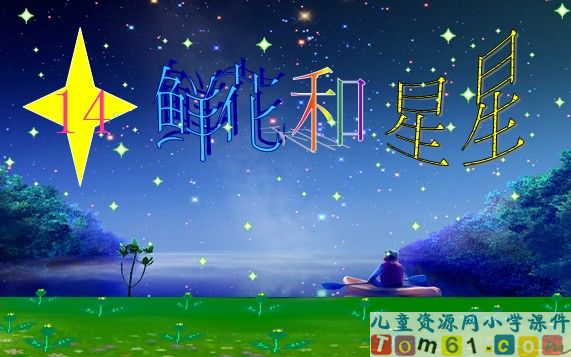 鲜花和星星