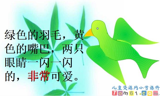 《放小鸟》