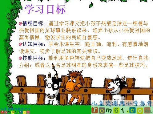 《我叫足球》