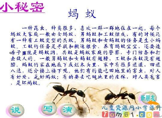 《蚂蚁和蝈蝈》