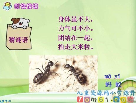 《蚂蚁和蝈蝈》